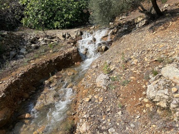 Fotografia /Galeria/2024/9/233588_148632/2_M1.jpg