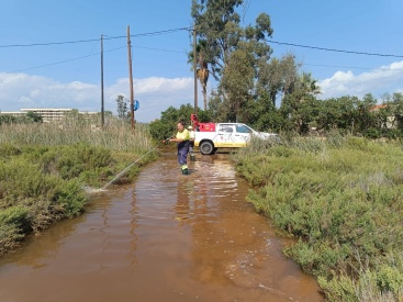 Torreblanca activa una forta campanya contra els mosquits per les pluges dels darrers dies