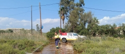 Torreblanca activa una fuerte campaa contra los mosquitos por las lluvias de los ltimos das