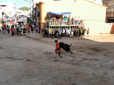 Fotografia /Galeria/2024/9/233613_148650/2_M1.jpg