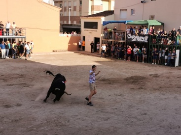 Fotografia /Galeria/2024/9/233613_148650/4_M1.jpg