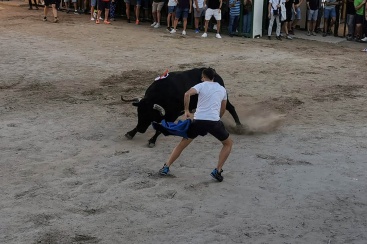 Fotografia /Galeria/2024/9/233613_148650/5_M1.jpg