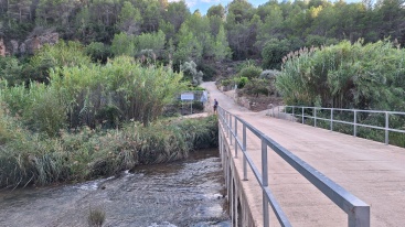 Torrechiva invertirà 228.000 euros per eliminar els canyars del riu Millars