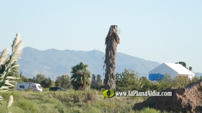 Fotografia /Galeria/2024/9/233804_148799/2_M1.jpg