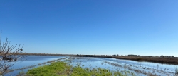La Llosa, parads del birdwatching