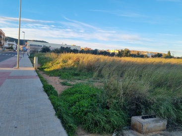 Fotografia /Galeria/2025/1/238492_152346/2_M1.jpg