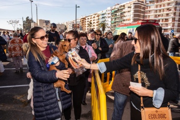 Fotografia /Galeria/2025/1/238901_152671/5_M1.jpg