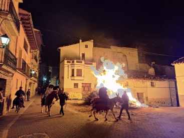 Fotografia /Galeria/2025/1/239197_152901/2_M1.jpg