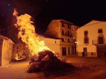 Fotografia /Galeria/2025/1/239197_152901/3_M1.jpg