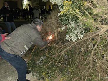 Fotografia /Galeria/2025/1/239218_152921/2_M1.jpg