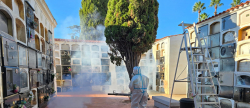 Burriana inicia los preparativos en el Cementerio Municipal con un tratamiento de choque contra los mosquitos