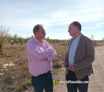 La provincia de Castelln recibe 280.000 euros del Consell para controlar el jabal y evitar riesgos en las personas, daos en la agricultura y accidentes