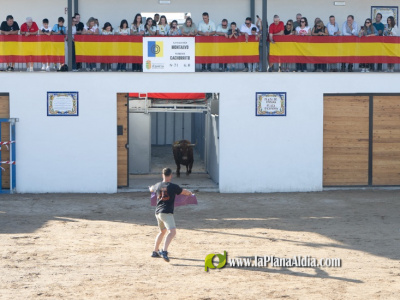 Marta Barrachina asiste a los actos taurinos en la renovada plaza de Espaa de Alqueras del Nio Perdido