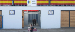 Marta Barrachina asiste a los actos taurinos en la renovada plaza de Espaa de Alqueras del Nio Perdido