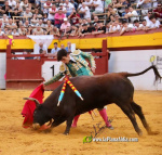 Fotografia /Galeria/2025/10/250352_161319/4_M1.jpg