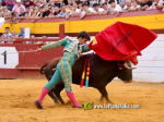 Fotografia /Galeria/2025/10/250352_161319/7_M1.jpg