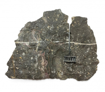 Fotografia /Galeria/2025/10/250377_161337/2_M1.jpg