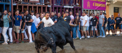 Almassora disfruta de un martes de fiestas de la Mare de Deu del Roser con acento taurino