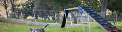Inaugurado nuevo parque canino en la Serratella de Onda