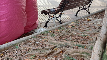 Comproms exige explicaciones a Begoa Carrasco sobre fallas en atracciones del Street Park