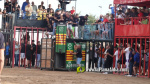 Les Alqueries reprenen exposicions de toros