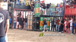 Les Alqueries reprenen exposicions de toros