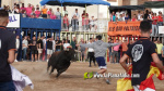 Les Alqueries reprenen exposicions de toros