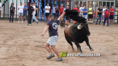 Les Alqueries retoma las exhibiciones taurinas