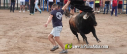 Les Alqueries retoma las exhibiciones taurinas