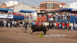 Les Alqueries reprenen exposicions de toros