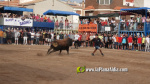 Les Alqueries reprenen exposicions de toros