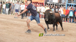 Les Alqueries reprenen exposicions de toros