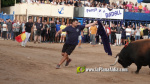 Les Alqueries reprenen exposicions de toros