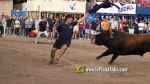 Les Alqueries reprenen exposicions de toros