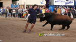 Les Alqueries reprenen exposicions de toros