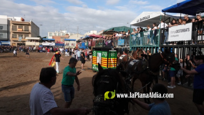 Fotografia /Galeria/2025/10/250491_161422/2_M1.jpg