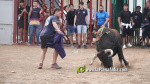 Les Alqueries reprenen exposicions de toros