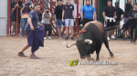 Les Alqueries reprenen exposicions de toros