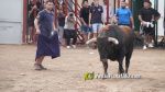 Les Alqueries reprenen exposicions de toros