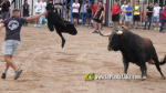 Les Alqueries reprenen exposicions de toros