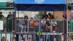 Les Alqueries reprenen exposicions de toros