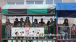 Les Alqueries reprenen exposicions de toros