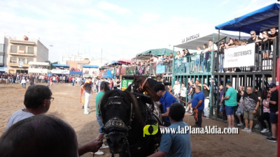 Fotografia /Galeria/2025/10/250491_161422/3_M1.jpg