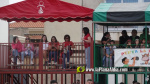 Les Alqueries reprenen exposicions de toros