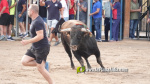 Les Alqueries reprenen exposicions de toros