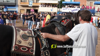 Fotografia /Galeria/2025/10/250491_161422/5_M1.jpg