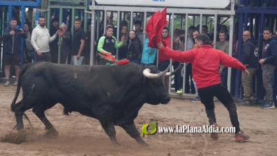 Les Alqueries celebra el 9 d'octubre con exhibiciones taurinas
