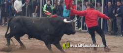 Les Alqueries celebra el 9 d'octubre con exhibiciones taurinas