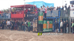 Les Alqueries celebra el 9 d'octubre amb exhibicions taurines
