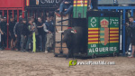 Les Alqueries celebra el 9 d'octubre amb exhibicions taurines